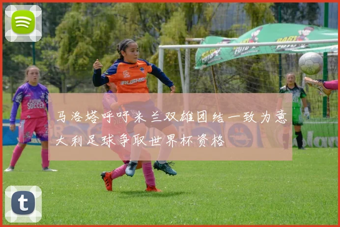 马洛塔呼吁米兰双雄团结一致为意大利足球争取世界杯资格