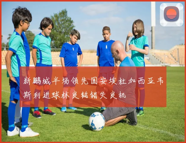 新鹏城半场领先国安埃杜加西亚韦斯利进球林良铭错失良机