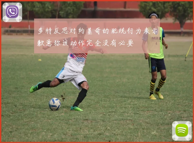 多特反思对约基奇的犯规行为表示歉意称该动作完全没有必要