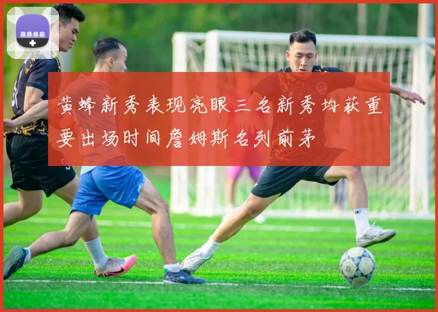 黄蜂新秀表现亮眼三名新秀均获重要出场时间詹姆斯名列前茅