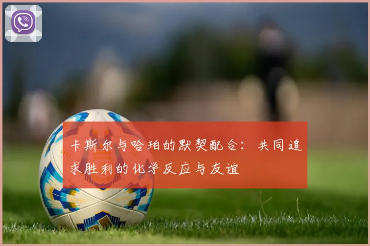 卡斯尔与哈珀的默契配合：共同追求胜利的化学反应与友谊
